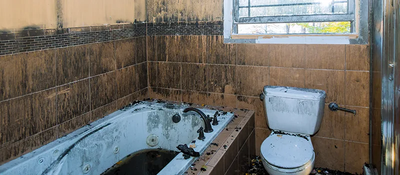 Residential Water Damage Restoration in Inglewood, ON