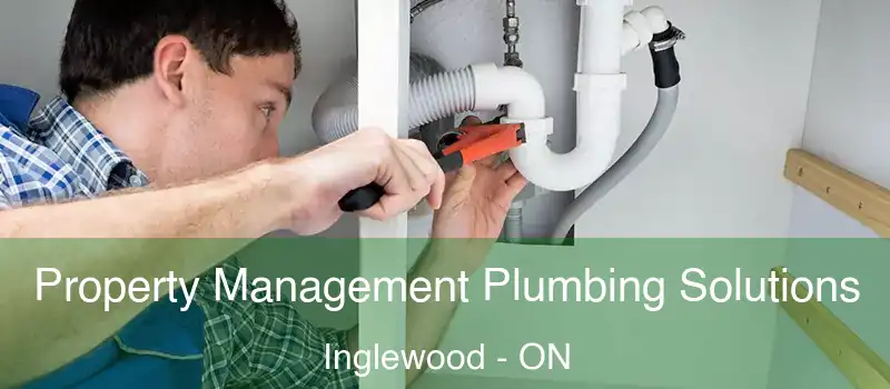  Property Management Plumbing Solutions Inglewood - ON