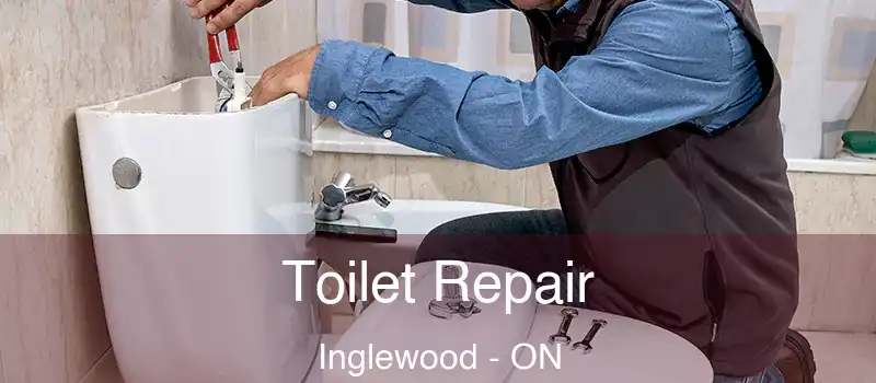 Toilet Repair Inglewood - ON