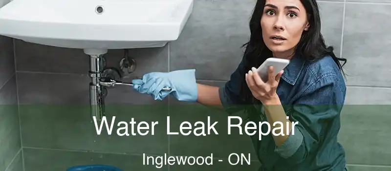 Water Leak Repair Inglewood - ON