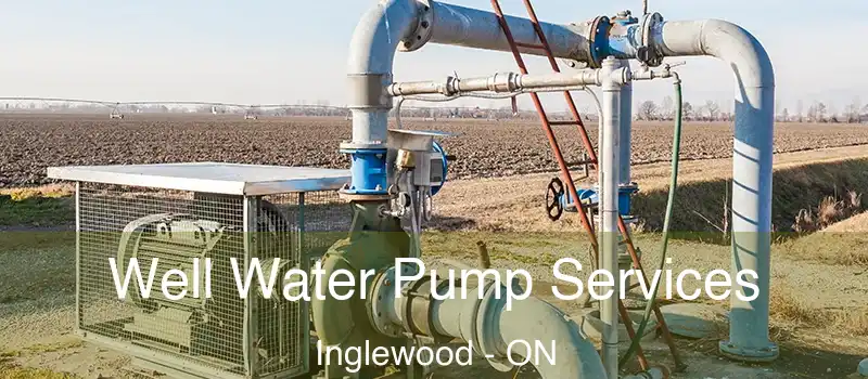  Well Water Pump Services Inglewood - ON